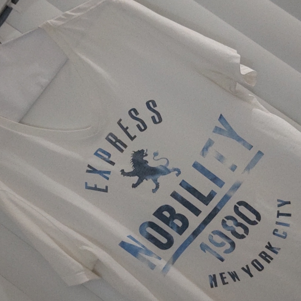 Express v neck graphic tee